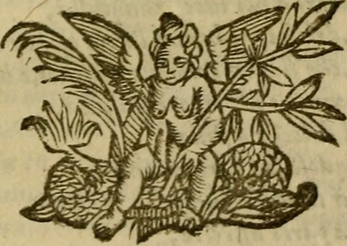 An illustration from Canzonette del sig. Gasparo Murtola : con altre rime del medesimo non più stampate, 1608, leaf 428