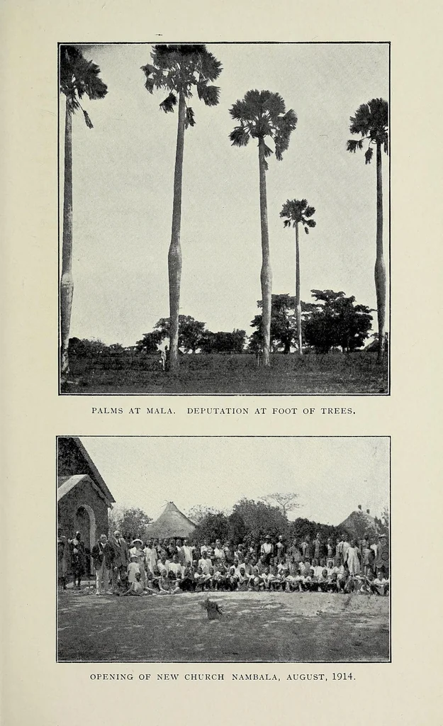 An illustration from Capetown to Kafue : the story of an eighteen thousand miles journey, 1916, leaf 107