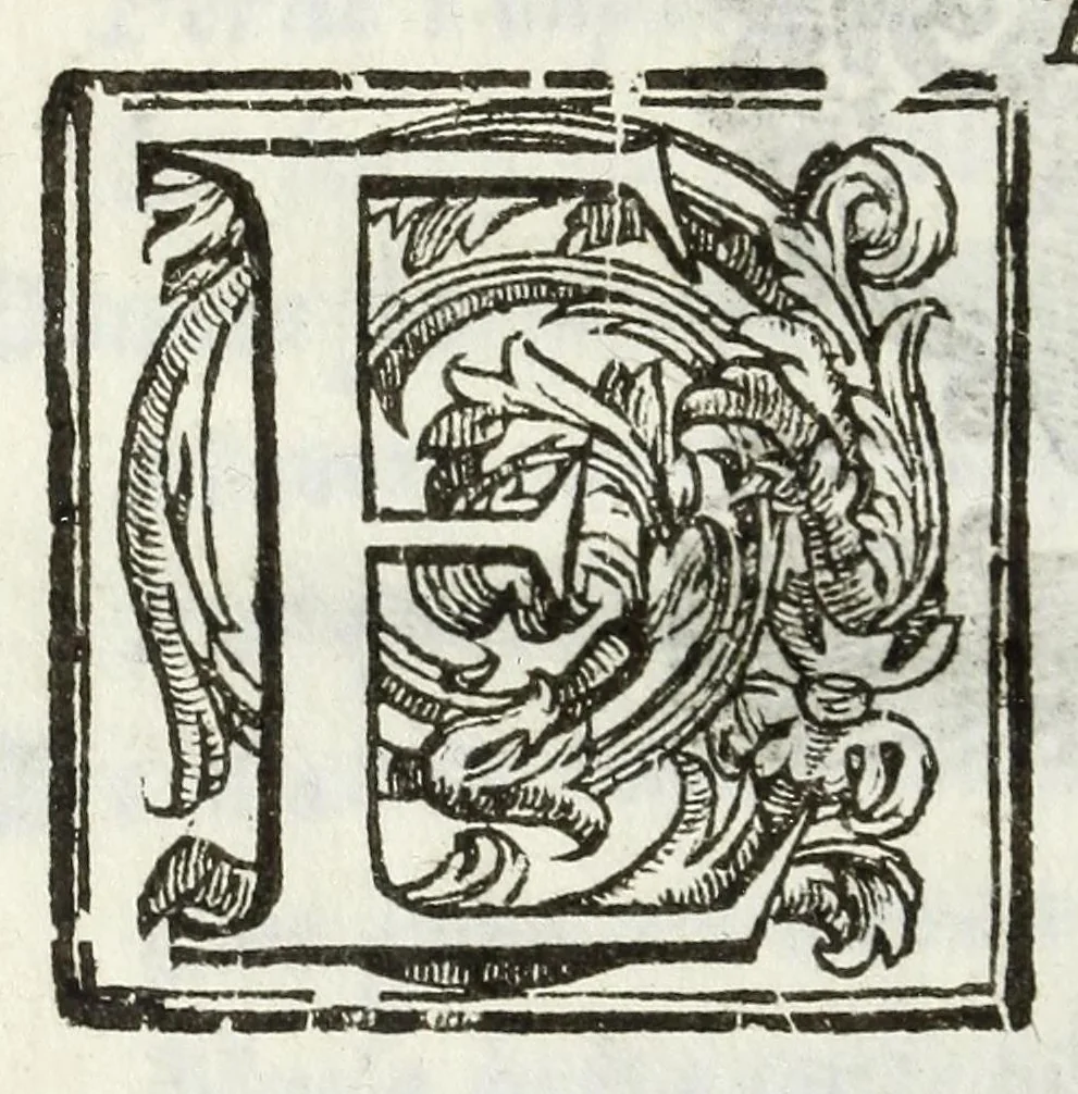 An illustration from Capitoli della bellezza, 1605, leaf 28
