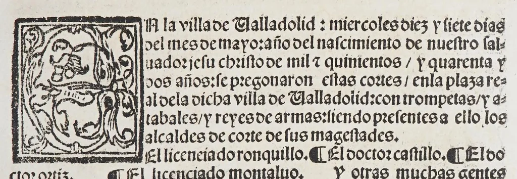 An illustration from Capitulos nueuamente concedidos por la S.C.C.M. del emperador y rey n[uest]ro señor: en las cortes que tuuo, y celebro en la ciudad de Toledo en el año passado de. M.D. y. xxxix. años. : Con la declaracion d[e] las pregmaticas d[e] las mulas, y q[ua]rtaos [sic]. Ju[n]tamente co[n] los capitulos dicedidos e[n] las cortes q[ue] assi mismo tuuo, y celebro e[n] la villa de Valladolid: este año de mill [et] quinie[n]tos y. xl. ii. años., 1542, leaf 31