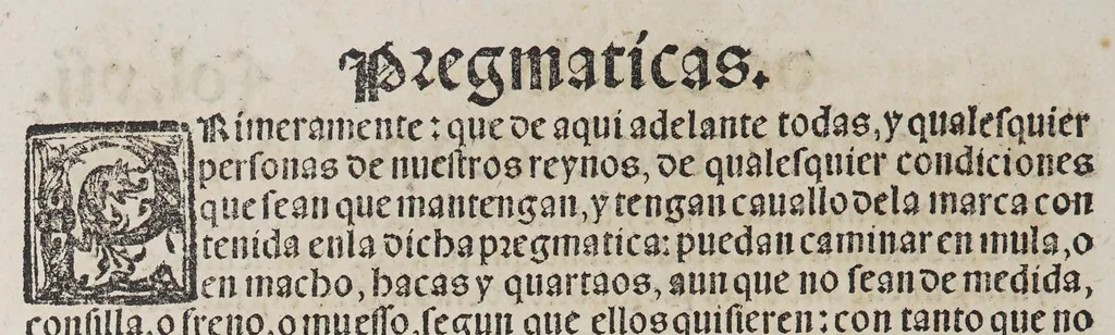 An illustration from Capítulos nueuame[n]te concedidos por la S.C.C.M. del emperador y rey nuestro señor en las cortes que tuuo y celebro en la ciudad de Toledo: en el año passado de M.D.[y] xxix. años. : Con la declaracio[n] de las pregmaticas de las mulas, y q[ua]rtagos. Juntame[n]te con los capitulos dicedidos en las cortes q[ue] assi mismo tuuo, y celebro en la villa de Valladolid: este año de mil [y] quinientos [y] xl.ij. años, 1545, leaf 20