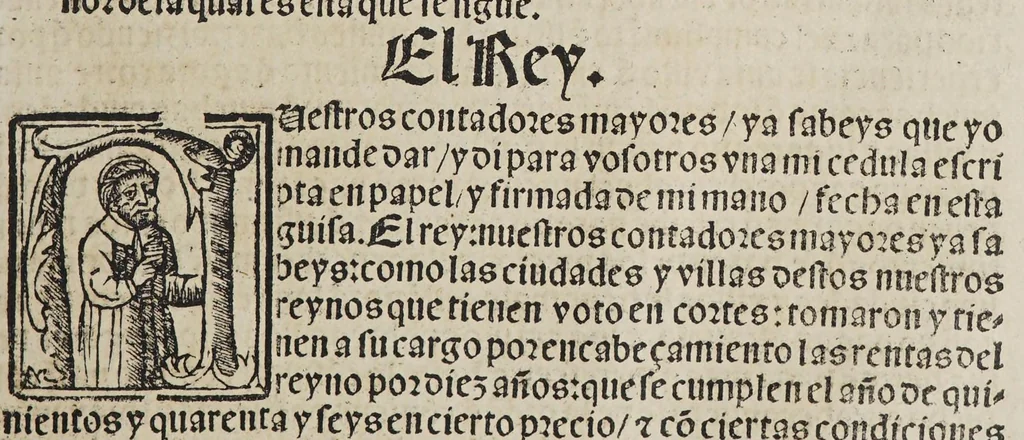 An illustration from Capítulos nueuame[n]te concedidos por la S.C.C.M. del emperador y rey nuestro señor en las cortes que tuuo y celebro en la ciudad de Toledo: en el año passado de M.D.[y] xxix. años. : Con la declaracio[n] de las pregmaticas de las mulas, y q[ua]rtagos. Juntame[n]te con los capitulos dicedidos en las cortes q[ue] assi mismo tuuo, y celebro en la villa de Valladolid: este año de mil [y] quinientos [y] xl.ij. años, 1545, leaf 23