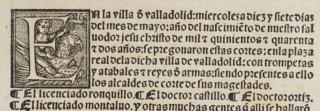 An illustration from Capítulos nueuame[n]te concedidos por la S.C.C.M. del emperador y rey nuestro señor en las cortes que tuuo y celebro en la ciudad de Toledo: en el año passado de M.D.[y] xxix. años. : Con la declaracio[n] de las pregmaticas de las mulas, y q[ua]rtagos. Juntame[n]te con los capitulos dicedidos en las cortes q[ue] assi mismo tuuo, y celebro en la villa de Valladolid: este año de mil [y] quinientos [y] xl.ij. años, 1545, leaf 33