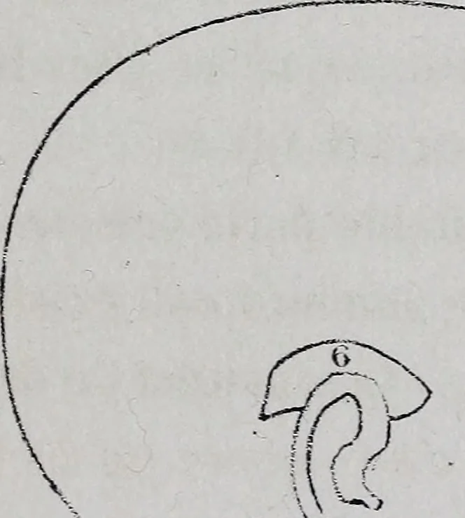 An illustration from Caractères phrénologiques et physiognomoniques des contemporains les plus célèbres, selon les systèmes de Gall, Spurzheim, Lavater, etc., 1837, leaf 158
