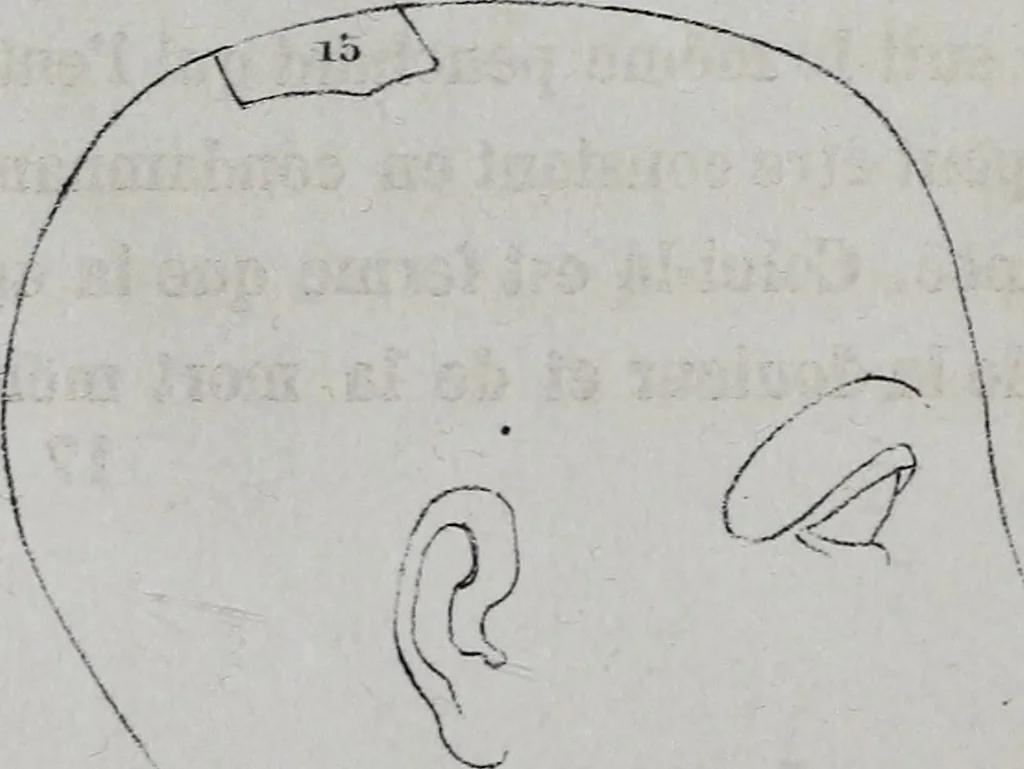 An illustration from Caractères phrénologiques et physiognomoniques des contemporains les plus célèbres, selon les systèmes de Gall, Spurzheim, Lavater, etc., 1837, leaf 241