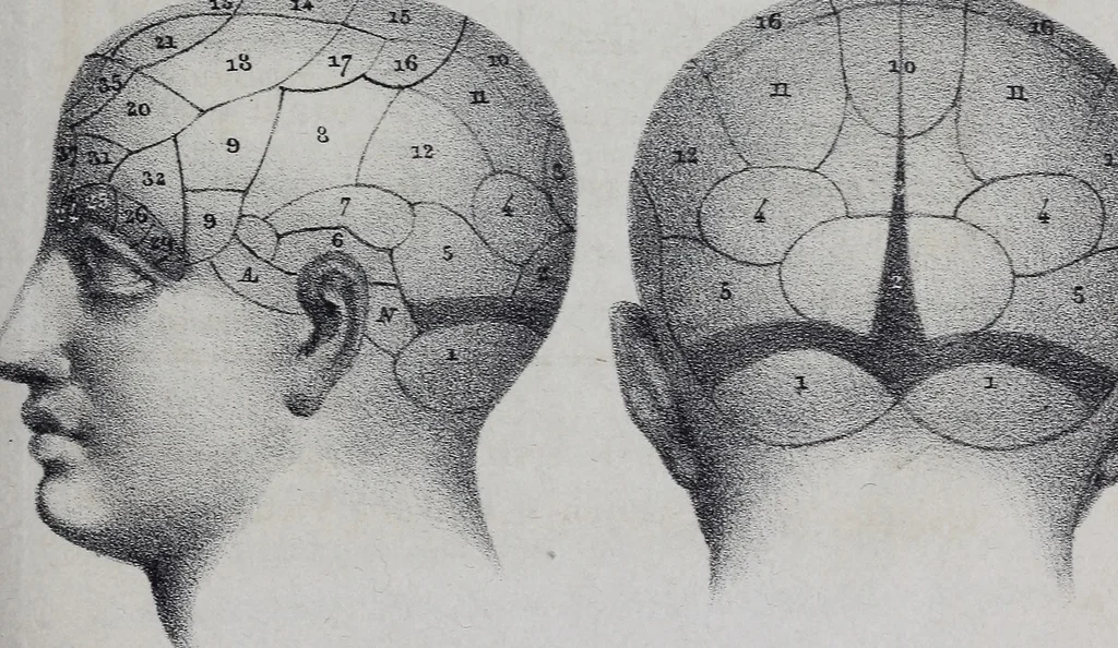 An illustration from Caractères phrénologiques et physiognomoniques des contemporains les plus célèbres, selon les systèmes de Gall, Spurzheim, Lavater, etc., 1837, leaf 26
