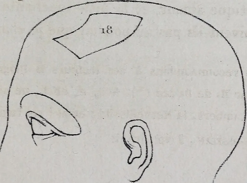 An illustration from Caractères phrénologiques et physiognomoniques des contemporains les plus célèbres, selon les systèmes de Gall, Spurzheim, Lavater, etc., 1837, leaf 272