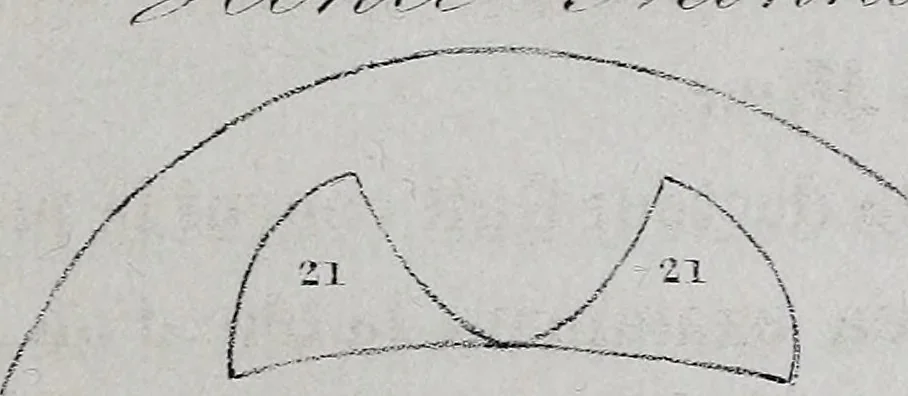 An illustration from Caractères phrénologiques et physiognomoniques des contemporains les plus célèbres, selon les systèmes de Gall, Spurzheim, Lavater, etc., 1837, leaf 304