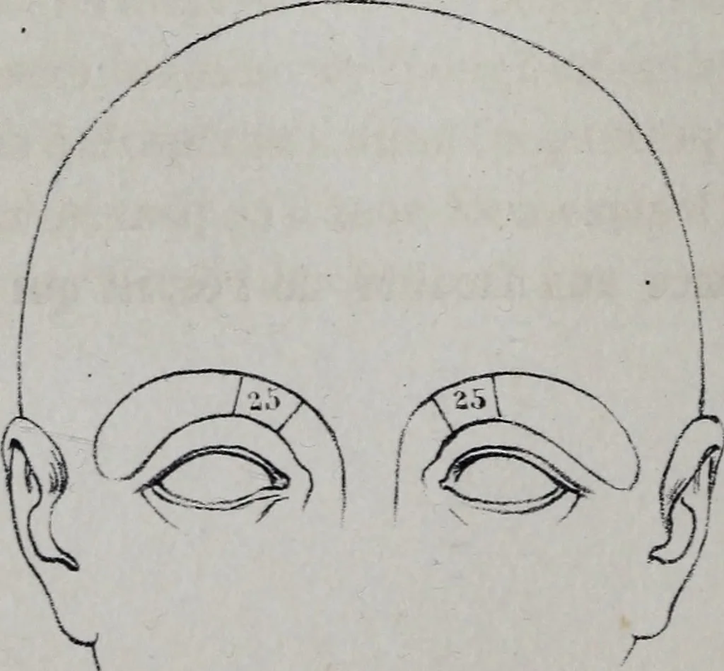 An illustration from Caractères phrénologiques et physiognomoniques des contemporains les plus célèbres, selon les systèmes de Gall, Spurzheim, Lavater, etc., 1837, leaf 345