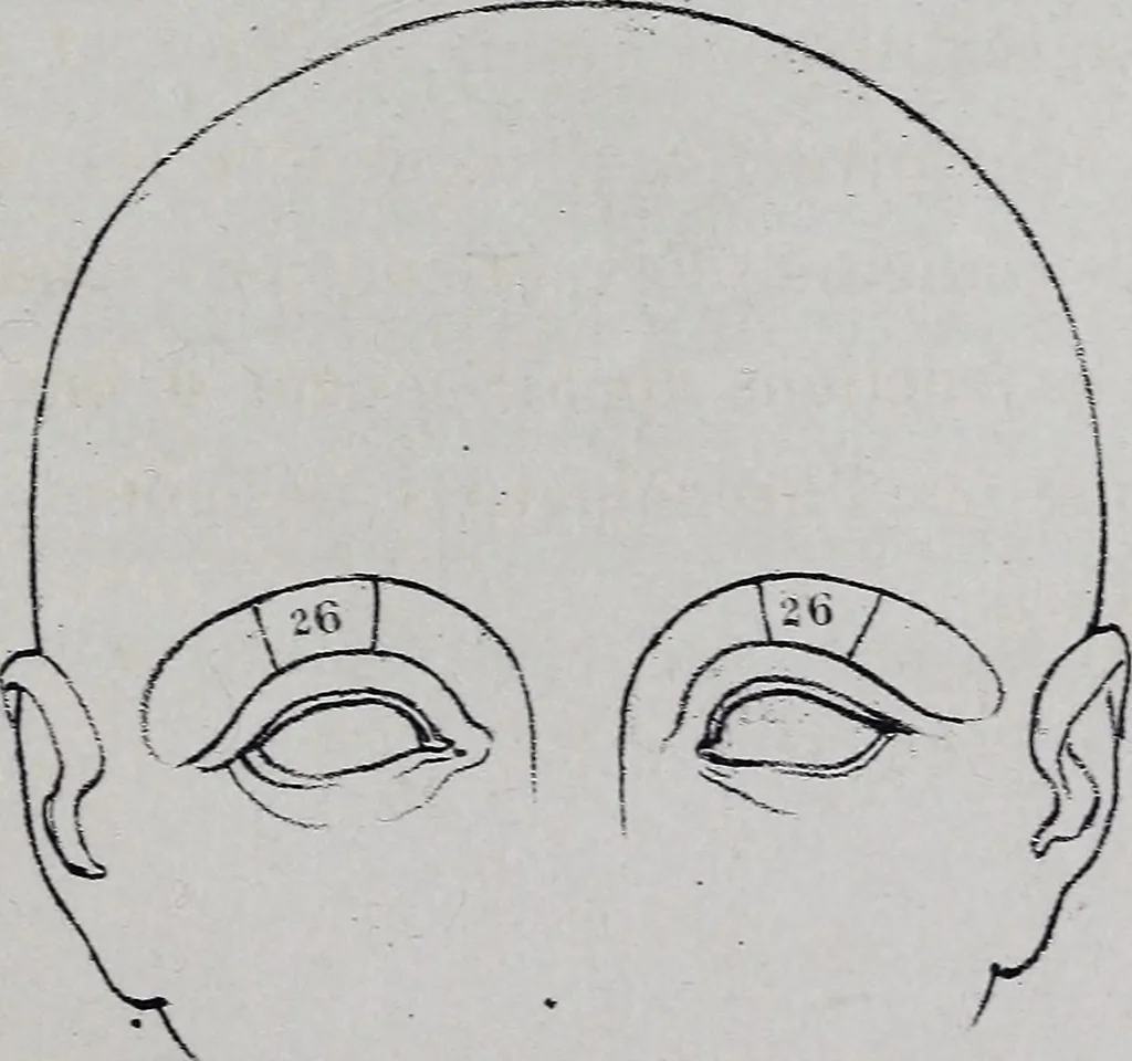 An illustration from Caractères phrénologiques et physiognomoniques des contemporains les plus célèbres, selon les systèmes de Gall, Spurzheim, Lavater, etc., 1837, leaf 356