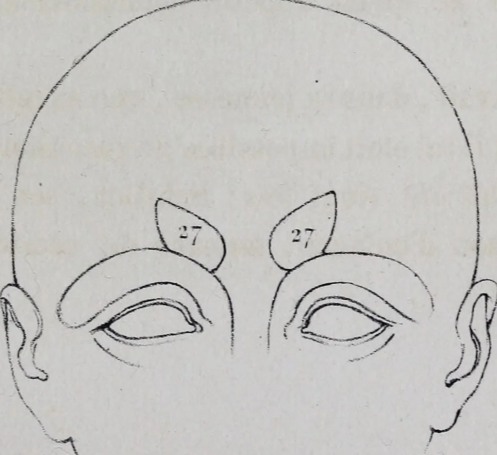An illustration from Caractères phrénologiques et physiognomoniques des contemporains les plus célèbres, selon les systèmes de Gall, Spurzheim, Lavater, etc., 1837, leaf 370