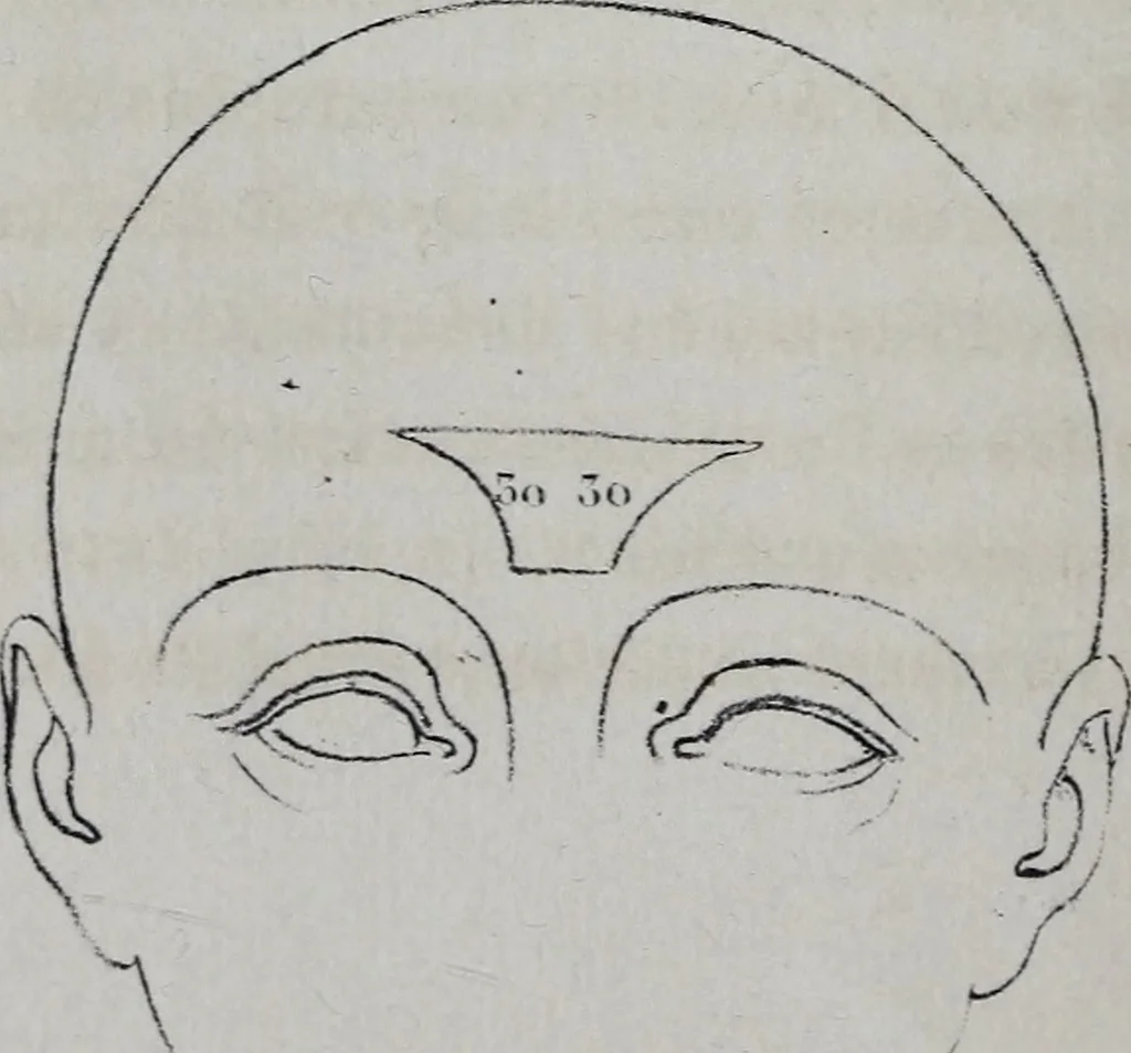 An illustration from Caractères phrénologiques et physiognomoniques des contemporains les plus célèbres, selon les systèmes de Gall, Spurzheim, Lavater, etc., 1837, leaf 401