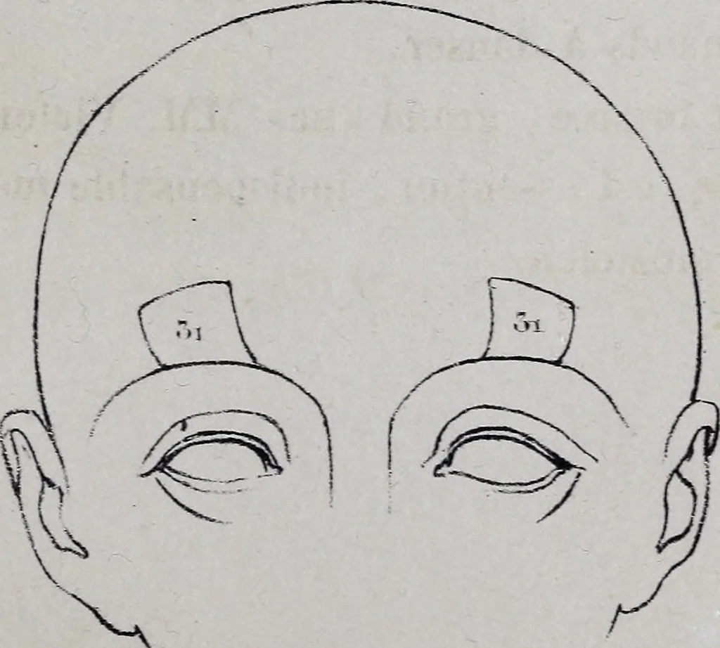 An illustration from Caractères phrénologiques et physiognomoniques des contemporains les plus célèbres, selon les systèmes de Gall, Spurzheim, Lavater, etc., 1837, leaf 408