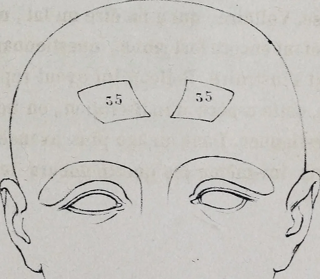 An illustration from Caractères phrénologiques et physiognomoniques des contemporains les plus célèbres, selon les systèmes de Gall, Spurzheim, Lavater, etc., 1837, leaf 448