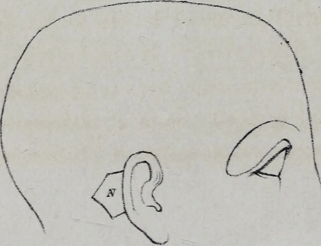 An illustration from Caractères phrénologiques et physiognomoniques des contemporains les plus célèbres, selon les systèmes de Gall, Spurzheim, Lavater, etc., 1837, leaf 75