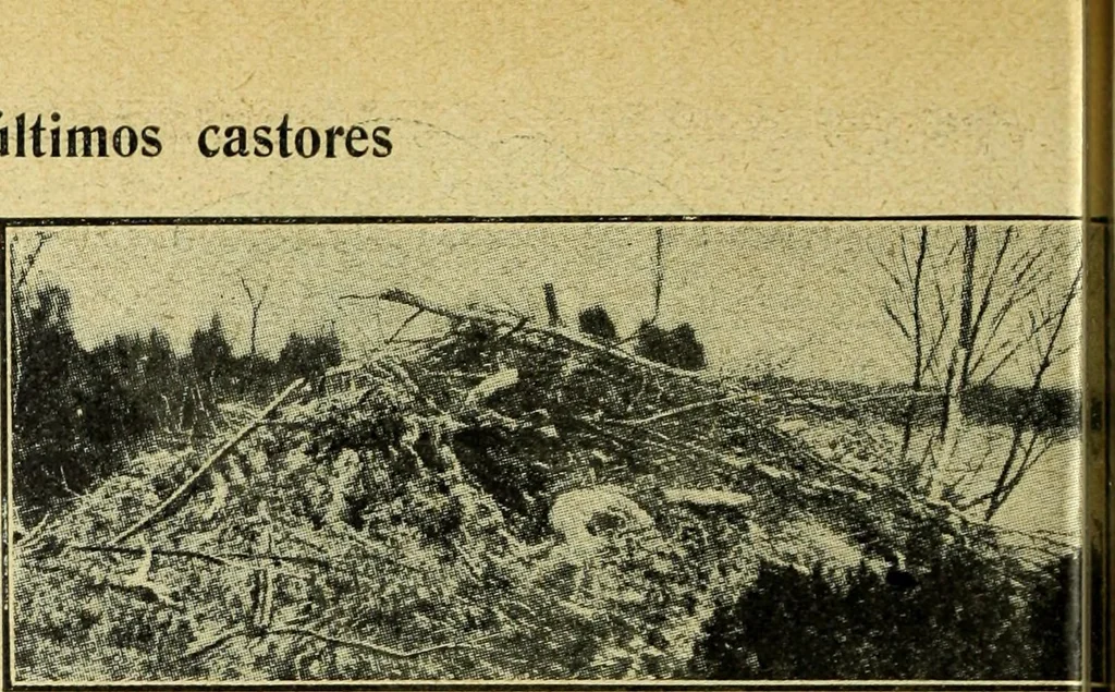 An illustration from Caras y caretas, 1898, leaf 1045