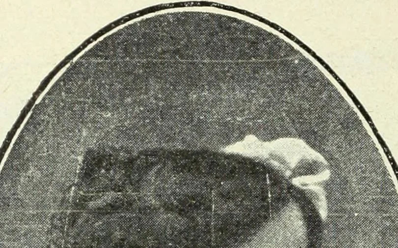 An illustration from Caras y caretas, 1898, leaf 1073