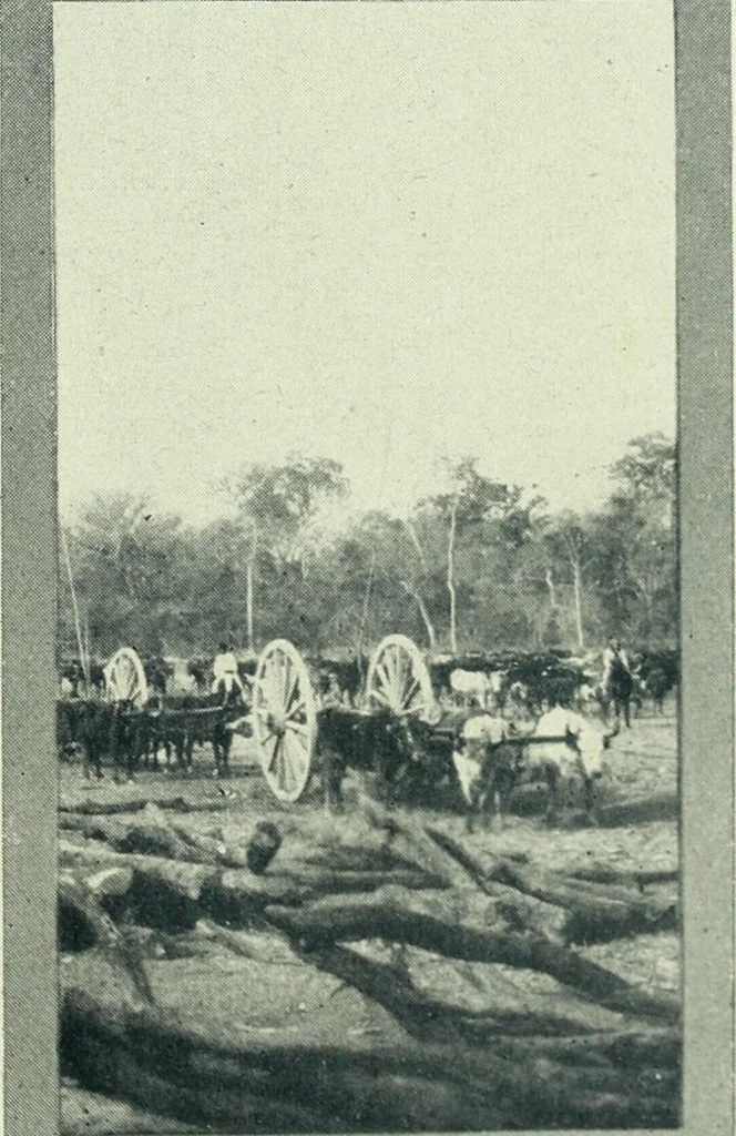 An illustration from Caras y caretas, 1898, leaf 1086