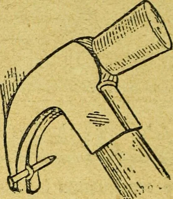 An illustration from Caras y caretas, 1898, leaf 1141