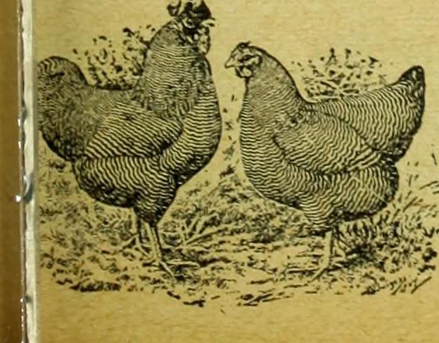 An illustration from Caras y caretas, 1898, leaf 1152