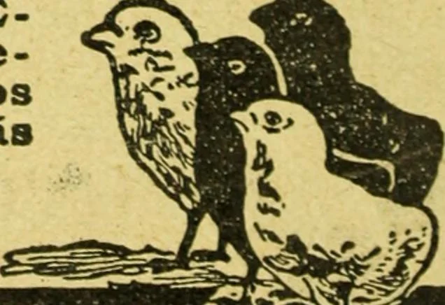 An illustration from Caras y caretas, 1898, leaf 1167