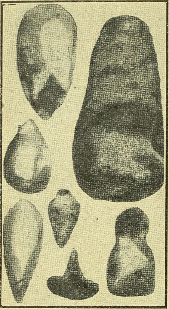 An illustration from Caras y caretas, 1898, leaf 1211