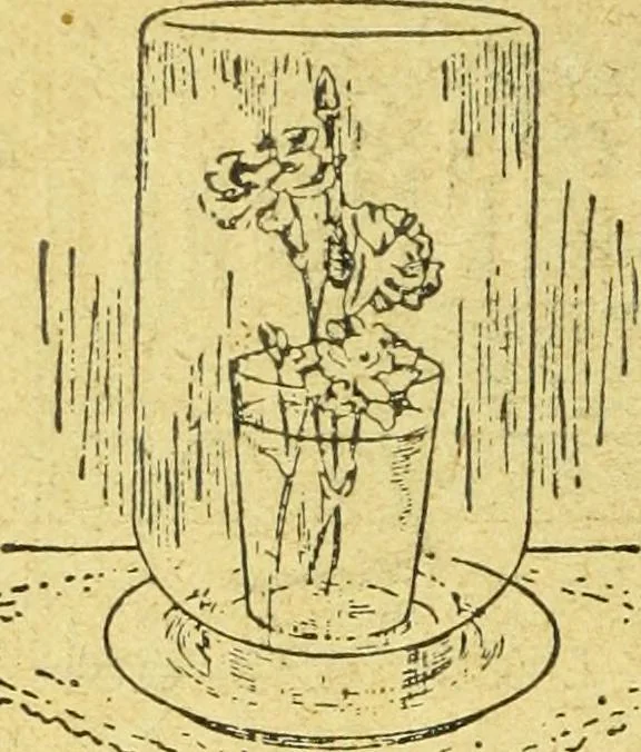 An illustration from Caras y caretas, 1898, leaf 1279