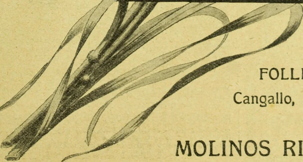An illustration from Caras y caretas, 1898, leaf 1296