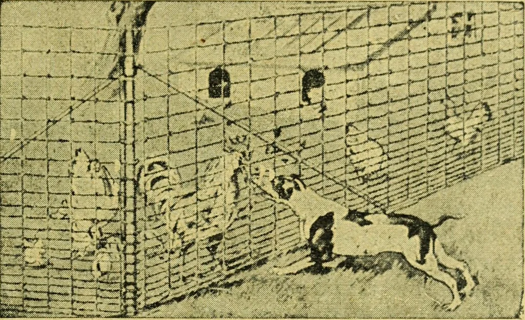 An illustration from Caras y caretas, 1898, leaf 154