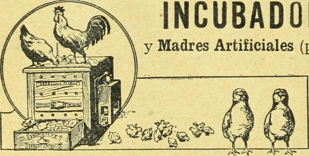 An illustration from Caras y caretas, 1898, leaf 195