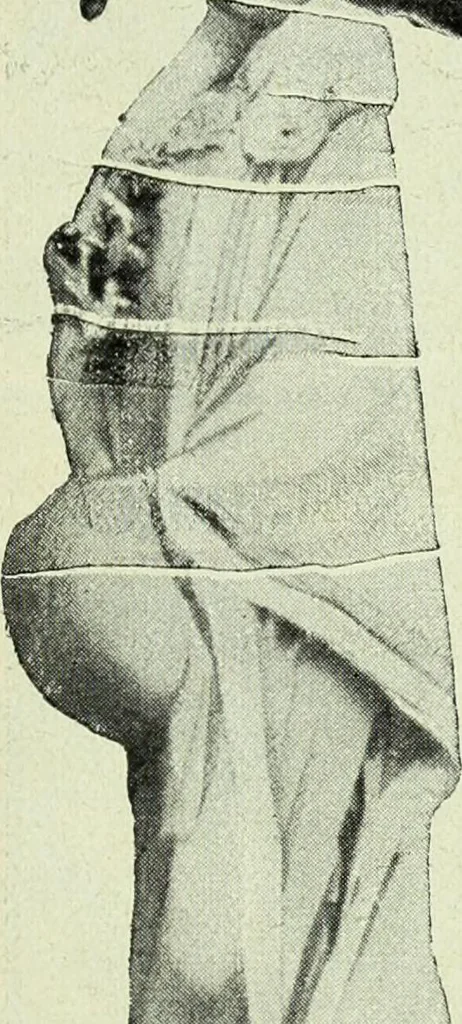 An illustration from Caras y caretas, 1898, leaf 226