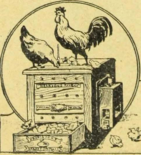 An illustration from Caras y caretas, 1898, leaf 27