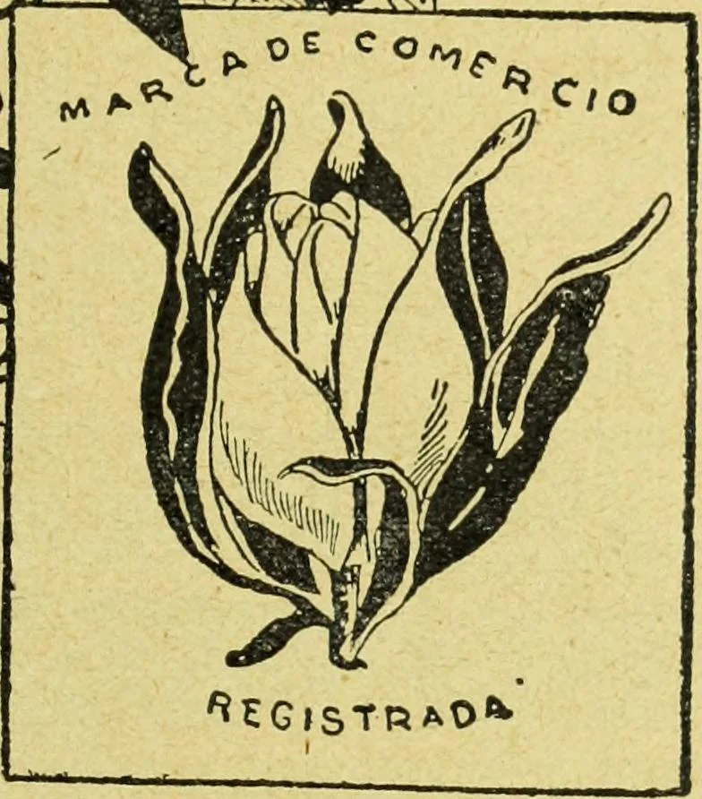An illustration from Caras y caretas, 1898, leaf 276
