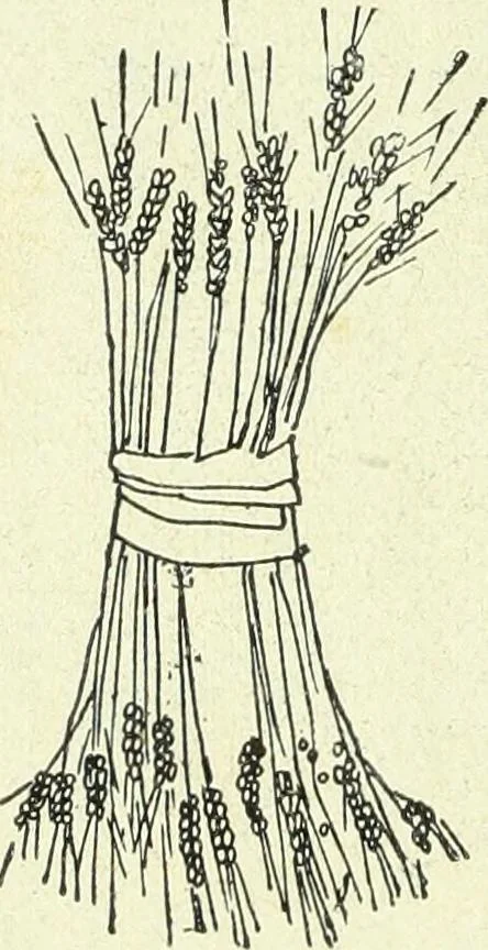 An illustration from Caras y caretas, 1898, leaf 365