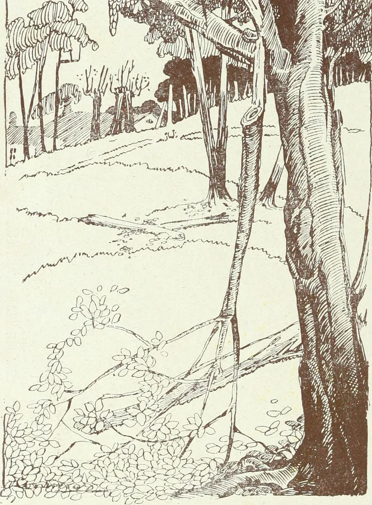An illustration from Caras y caretas, 1898, leaf 381