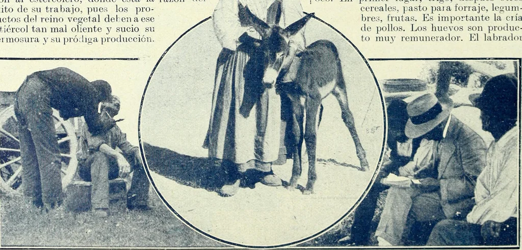 An illustration from Caras y caretas, 1898, leaf 383