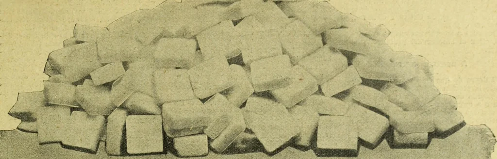 An illustration from Caras y caretas, 1898, leaf 416