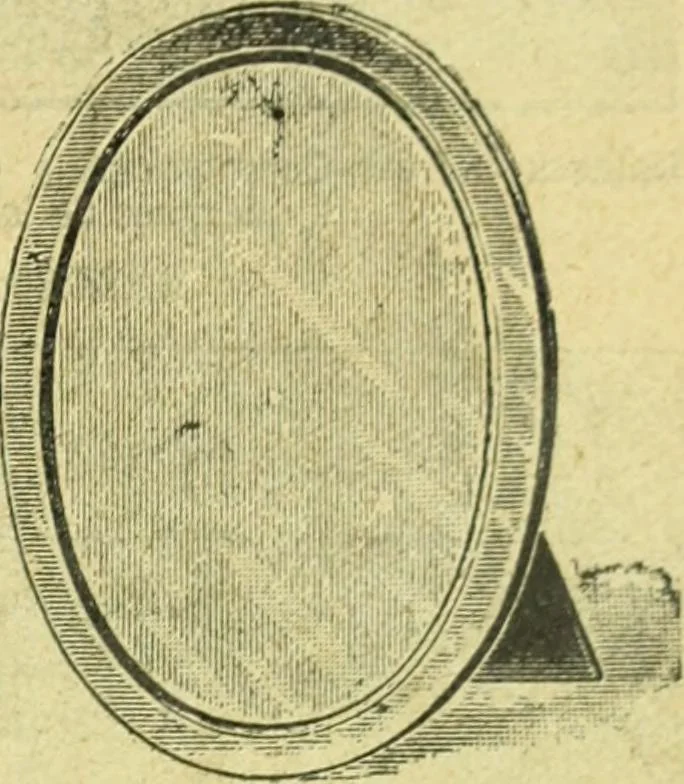 An illustration from Caras y caretas, 1898, leaf 428