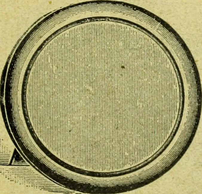 An illustration from Caras y caretas, 1898, leaf 428