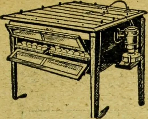 An illustration from Caras y caretas, 1898, leaf 442