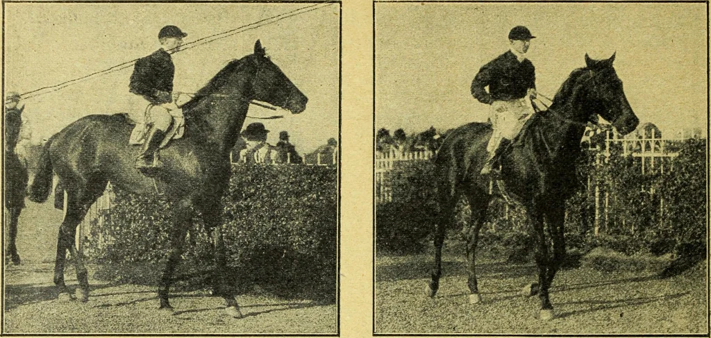 An illustration from Caras y caretas, 1898, leaf 445
