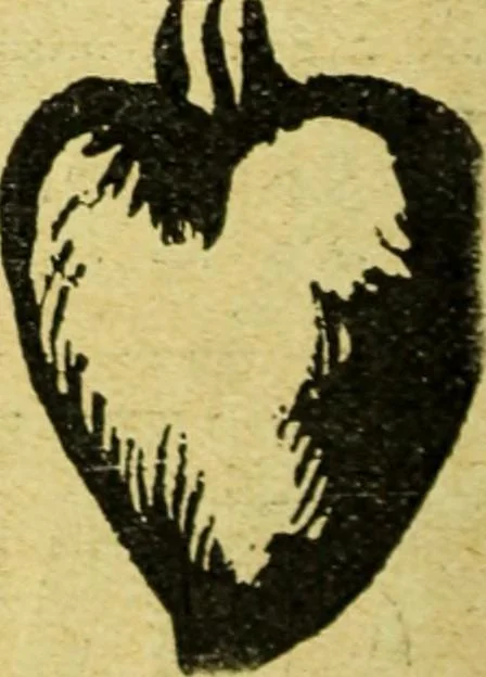 An illustration from Caras y caretas, 1898, leaf 467