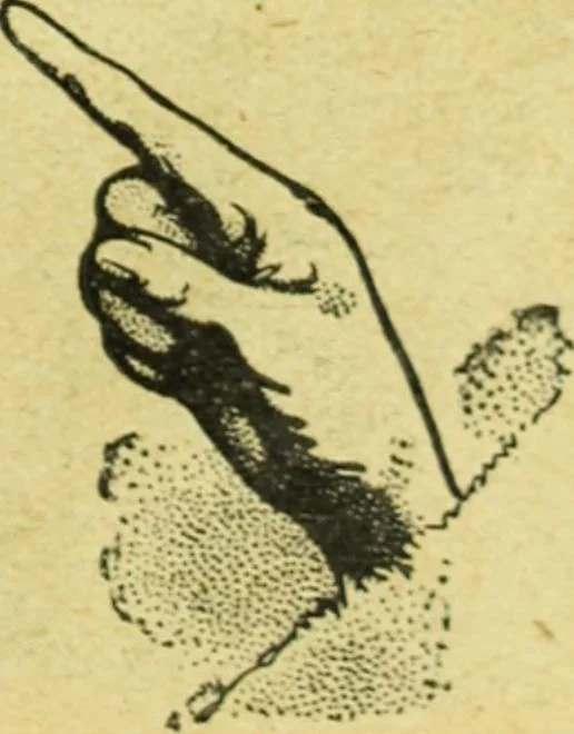 An illustration from Caras y caretas, 1898, leaf 476