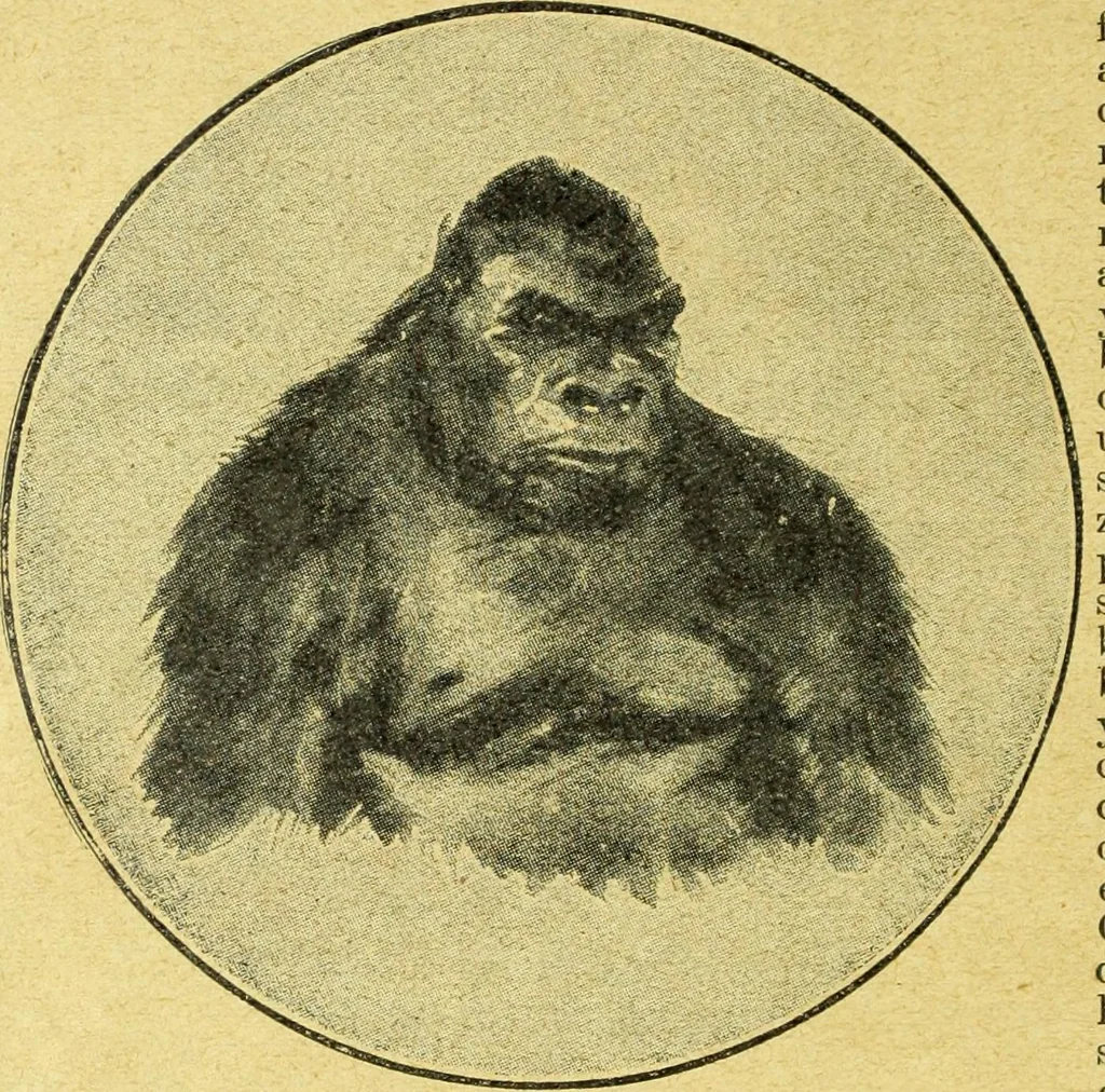 An illustration from Caras y caretas, 1898, leaf 503
