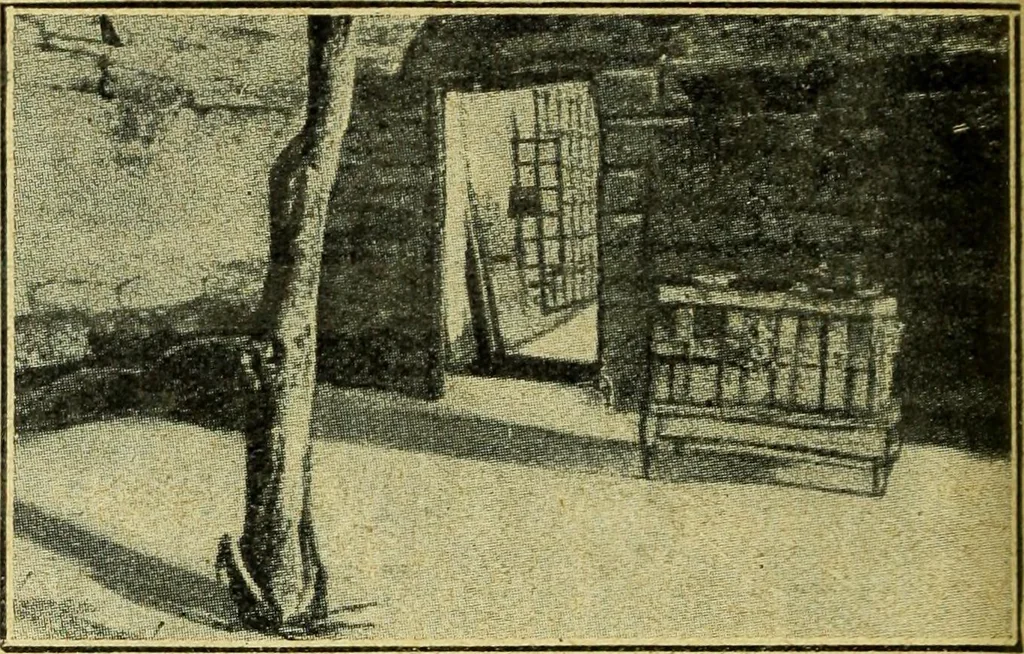 An illustration from Caras y caretas, 1898, leaf 51