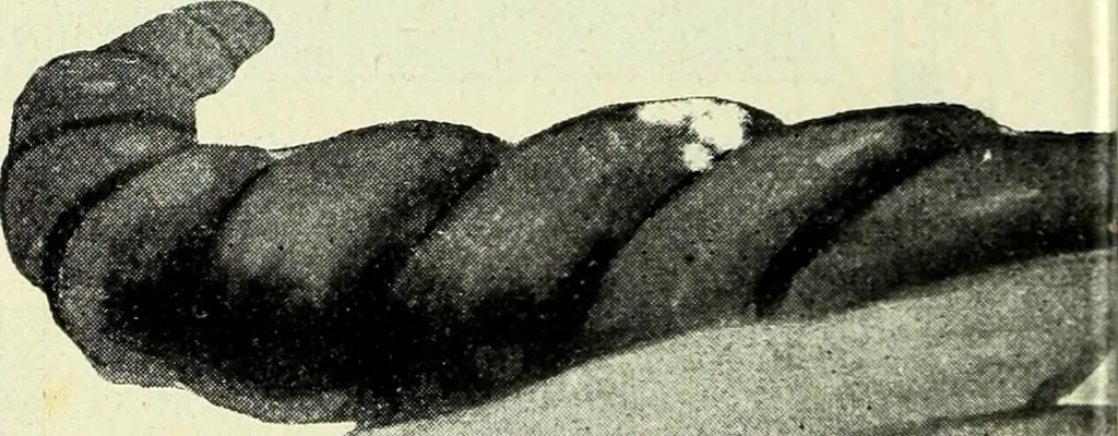 An illustration from Caras y caretas, 1898, leaf 513