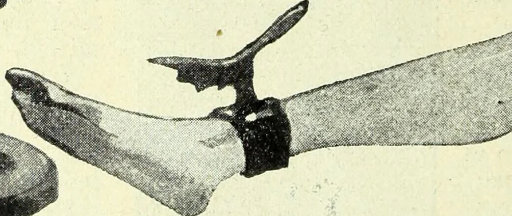 An illustration from Caras y caretas, 1898, leaf 513