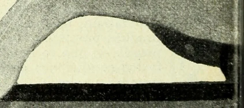 An illustration from Caras y caretas, 1898, leaf 513