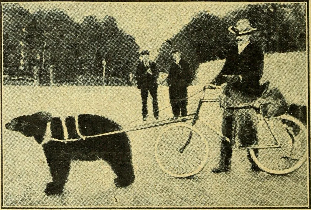 An illustration from Caras y caretas, 1898, leaf 561