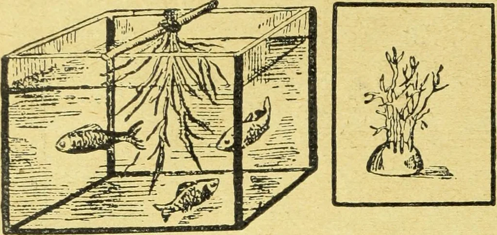An illustration from Caras y caretas, 1898, leaf 567